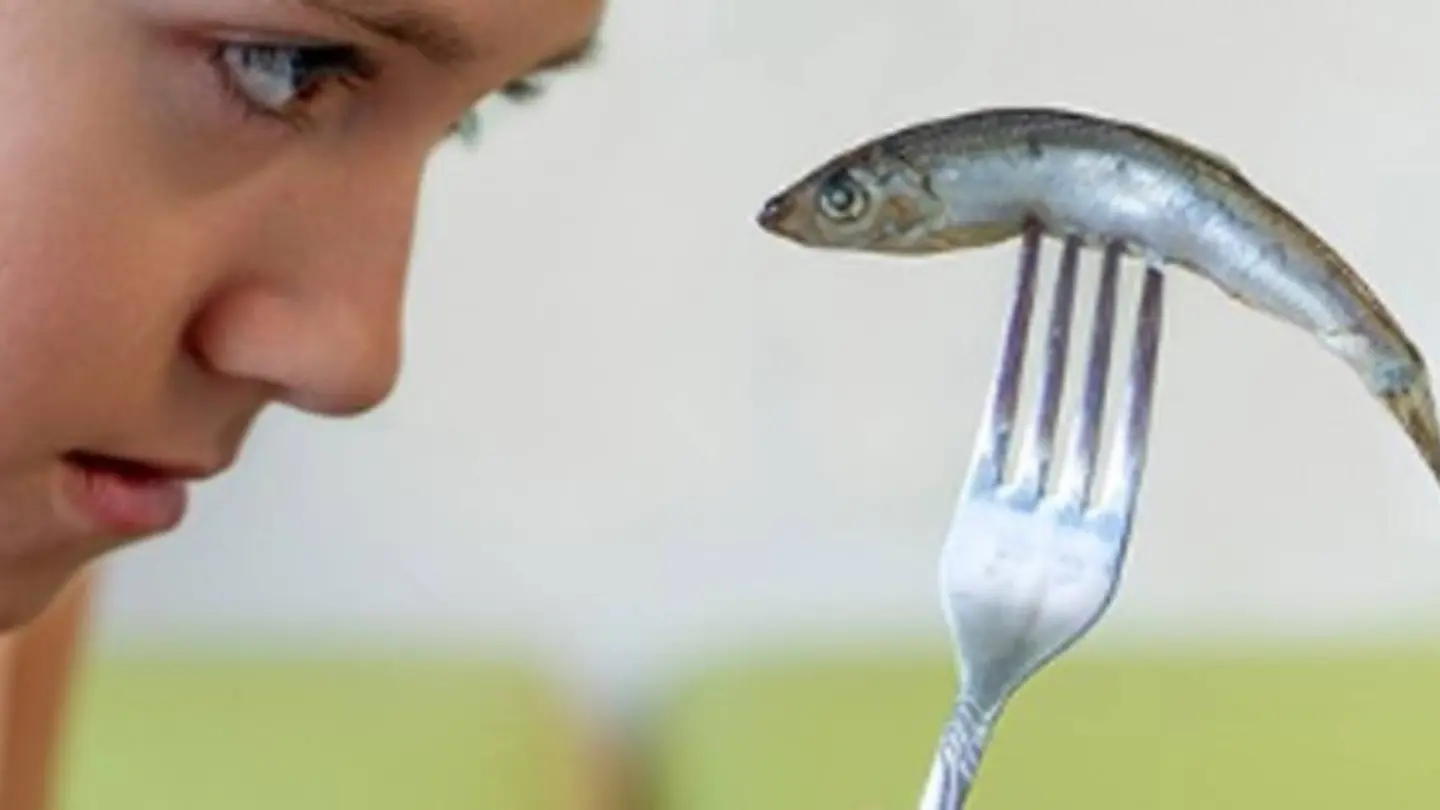 Una evaluación cuestiona que el pescado mejore la inteligencia infantil Una evaluación cuestiona que el pescado mejore la inteligencia infantil