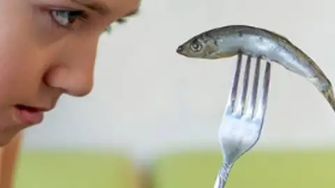 Una evaluación cuestiona que el pescado mejore la inteligencia infantil Una evaluación cuestiona que el pescado mejore la inteligencia infantil