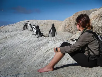 Boulders Beach Boulders Beach