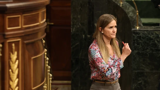 La vicepresidenta tercera y ministra de Transición Ecológica, Sara Aagesen, este miércoles en el Congreso de los Diputados. La vicepresidenta tercera y ministra de Transición Ecológica, Sara Aagesen, este miércoles en el Congreso de los Diputados.
