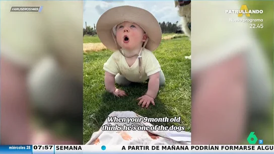 El divertido vídeo viral de un bebé de 9 meses que cree que es un perro El divertido vídeo viral de un bebé de 9 meses que cree que es un perro