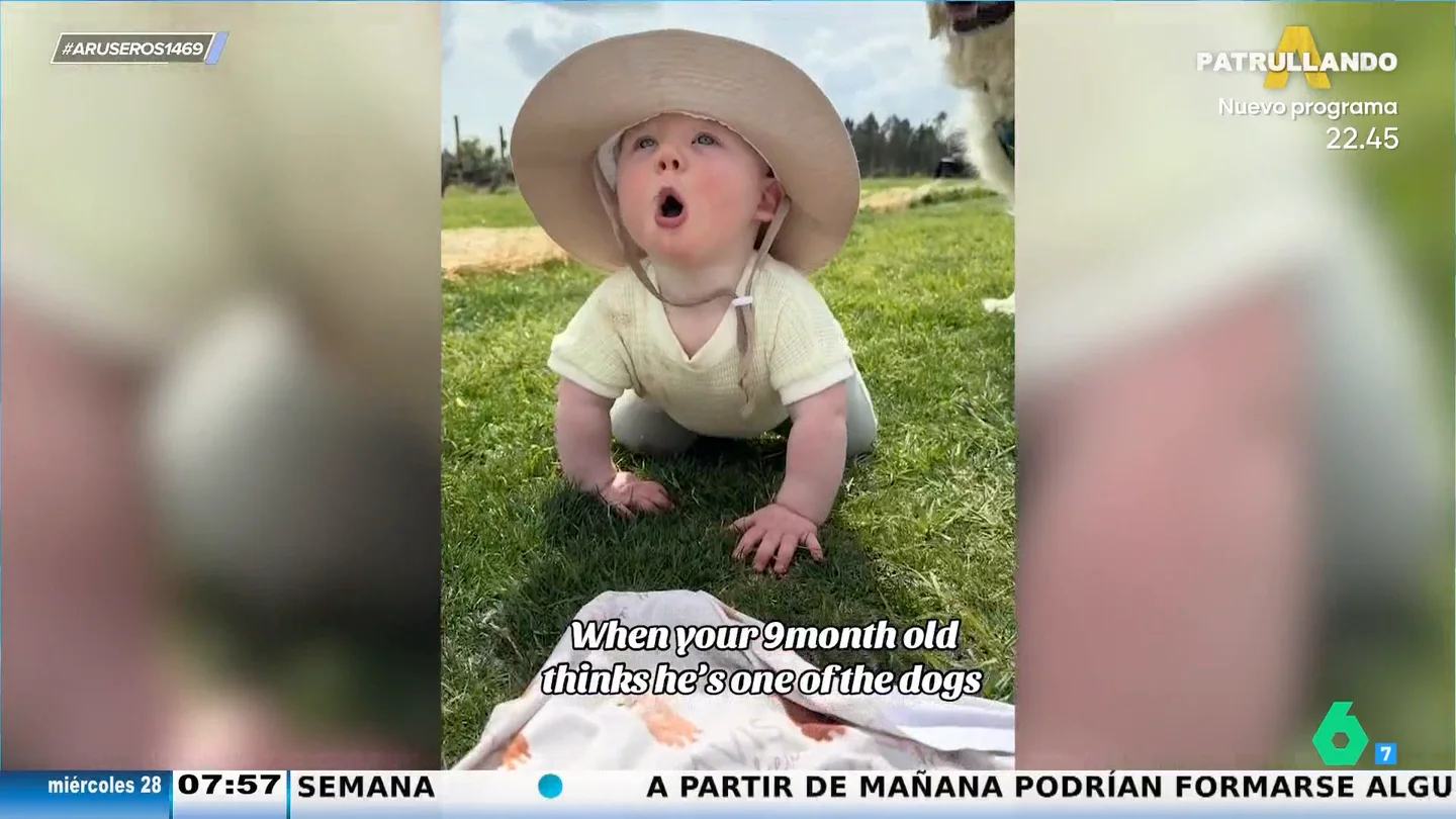 El divertido vídeo viral de un bebé de 9 meses que cree que es un perro El divertido vídeo viral de un bebé de 9 meses que cree que es un perro
