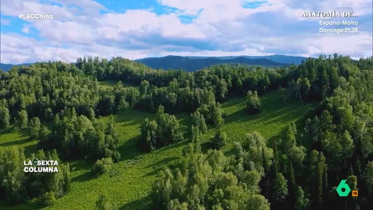La exhibición de poder y tecnología de China al construir el mayor bosque artificial del mundo en pleno desierto de Gobi Más grande que la Comunidad de Madrid y repleto de fauna. Así es el 'milagroso' bosque que ha construido China para detener el avance del desierto del Gobi. En este vídeo, laSexta Columna explica cómo es la 'Gran Muralla Verde'.
