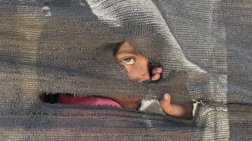 Pediatras españoles piden una respuesta ética ante las miles de muertes de niños por hambre en Gaza