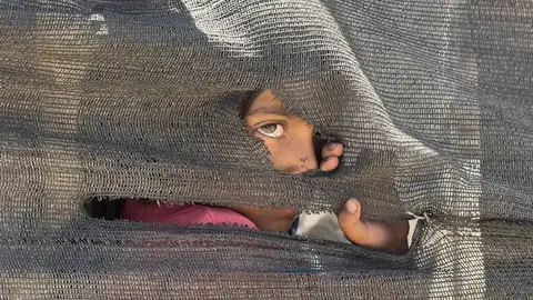 Pediatras españoles piden una respuesta ética ante las miles de muertes de niños por hambre en Gaza Pediatras españoles piden una respuesta ética ante las miles de muertes de niños por hambre en Gaza