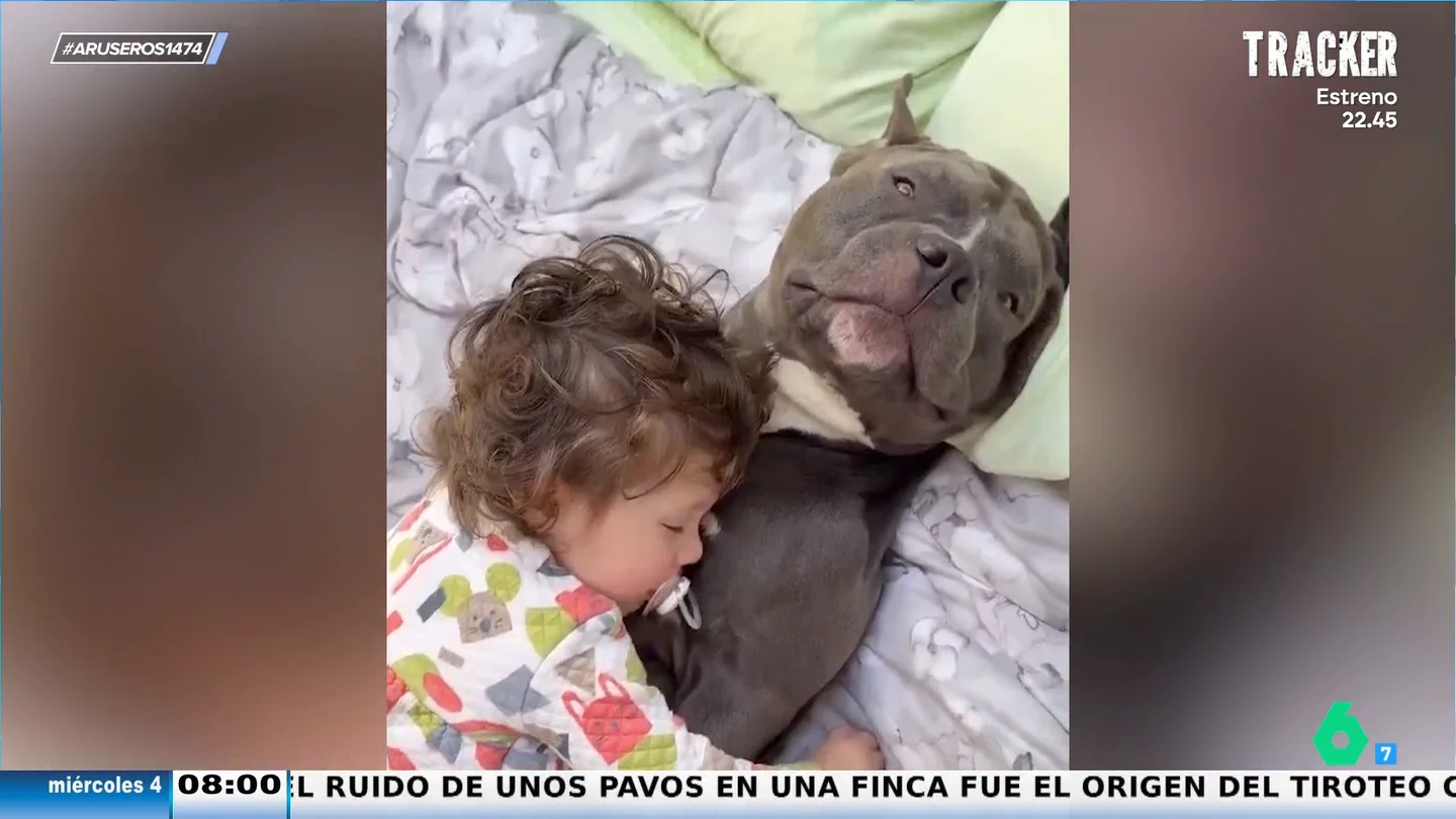 El bonito gesto de este perro cuando la niña se duerme abrazada a él: "Sabe que al mínimo movimiento se desata el caos" El bonito gesto de este perro cuando la niña se duerme abrazada a él: "Sabe que al mínimo movimiento se desata el caos"