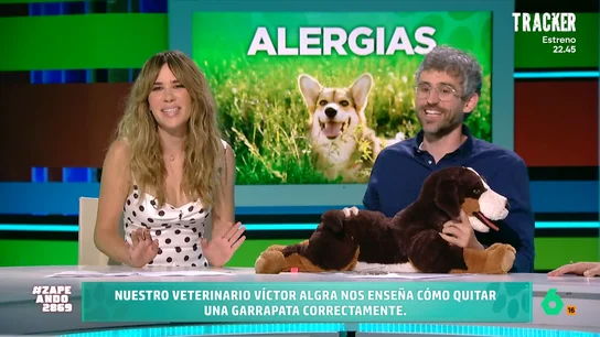 ¿Cómo se quitan las garrapatas? Estas son las recomendaciones del veterinario Víctor Algra Con el aumento de las temperaturas aumenta el riesgo de que nuestros perros o gatos sufran las picaduras de las garrapatas. No te pierdas los consejos del experto para evitarlas y, sobre todo, saber cómo retirar este parásito.
