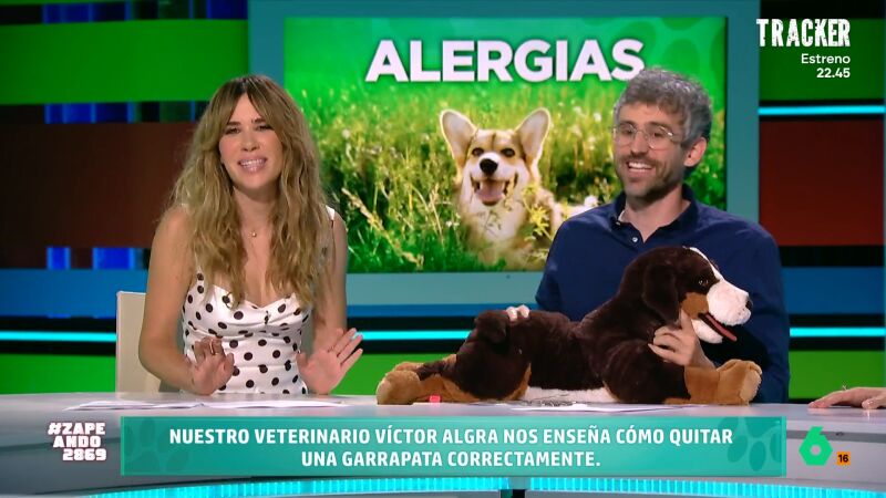 ¿Cómo se quitan las garrapatas? Estas son las recomendaciones del veterinario Víctor Algra