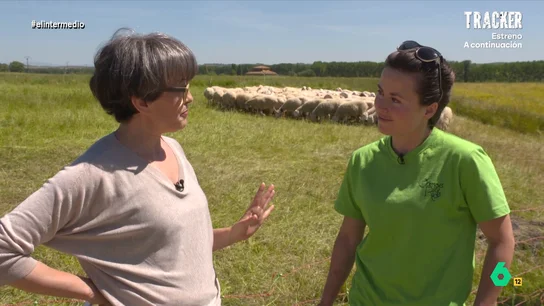 Nerea del Río, pastora, explica por qué dejó la ciudad para volver al pueblo: "A mi generación se nos vendió el 'estudia y vete'" Nerea del Río, pastora, explica por qué dejó la ciudad para volver al pueblo: "A mi generación se nos vendió el 'estudia y vete'"