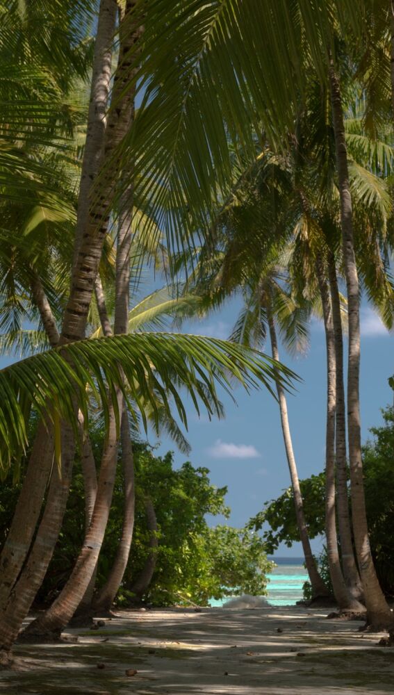 Fulhadhoo Beach, Maldivas