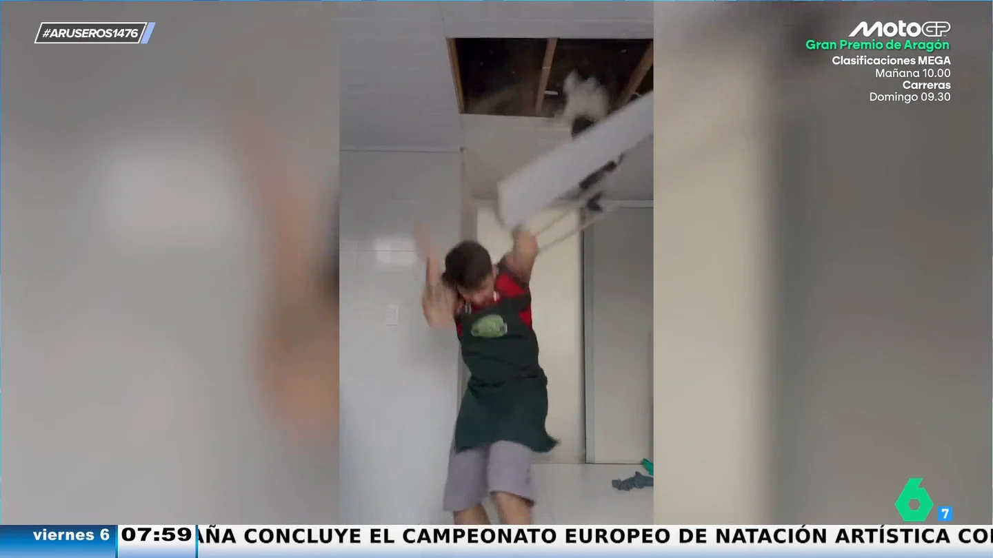 El susto viral de un joven al derrumbarse el techo y caer su gato del conducto de ventilación El susto viral de un joven al derrumbarse el techo y caer su gato del conducto de ventilación