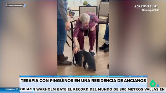 Unos pingüinos visitan una residencia de ancianos para alegrar el día a los mayores Unos pingüinos visitan una residencia de ancianos para alegrar el día a los mayores