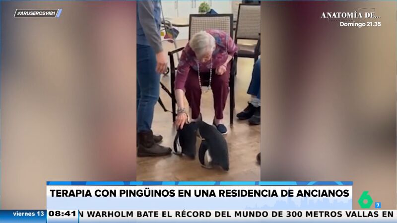 Unos pingüinos visitan una residencia de ancianos para alegrar el día a los mayores