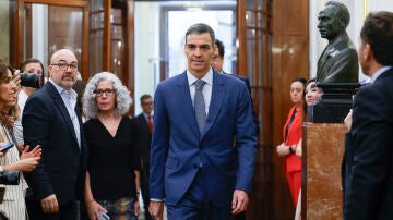 El presidente del Gobierno, Pedro S&aacute;nchez, en los pasillos del Congreso de los Diputados
