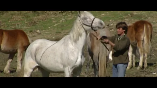 ¿Eran Lázaro y él los matones de Palanca? Pablo Moreno rompe su silencio con Carles Porta casi 40 años después del asesinato de Sansa ¿Eran Lázaro y él los matones de Palanca? Pablo Moreno rompe su silencio con Carles Porta casi 40 años después del asesinato de Sansa