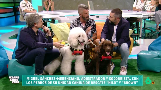 Miguel Sánchez-Merenciano presenta la primera unidad canina de rescate profesional en playas El socorrista y adiestrador canino visita el plató de Zapeando con Nilo y Brown, dos perros que forman parte del grupo de rescatistas caninos que este verano van a patrullar por las playas de Torrox, en Málaga.