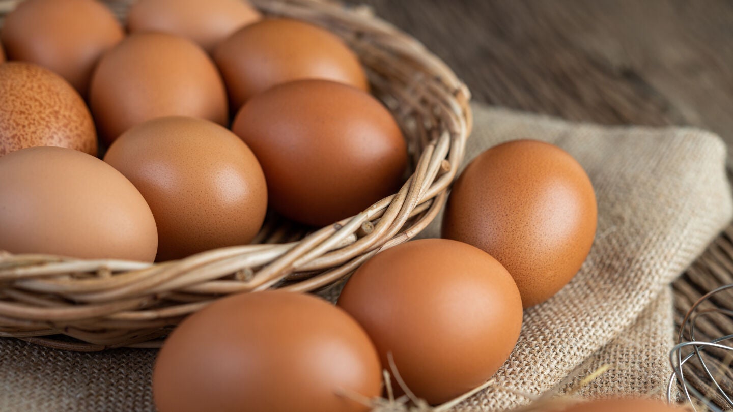 Huevos
