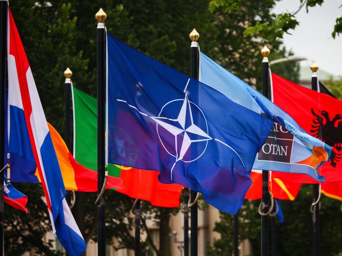 Qué es la OTAN y qué países forman parte en 2025