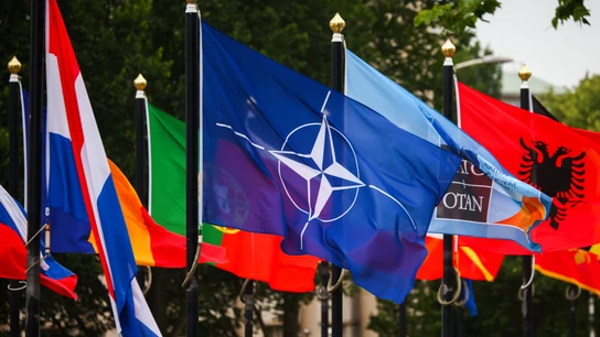 La bandera de la OTAN, ondeando frente a banderas de varios países en la cumbre de La Haya de 2025 La bandera de la OTAN, ondeando frente a banderas de varios países en la cumbre de La Haya de 2025