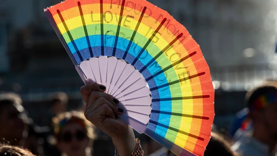 Un abanico con los colores de la bandera arcoíris que representa al colectivo LGTBIQ+ durante las fiestas del Orgullo de Madrid de 2024 Un abanico con los colores de la bandera arcoíris que representa al colectivo LGTBIQ+ durante las fiestas del Orgullo de Madrid de 2024