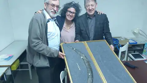 Un bumerán de colmillo de mamut revela la innovación del Homo sapiens Un bumerán de colmillo de mamut revela la innovación del Homo sapiens