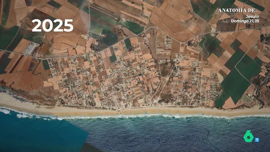 El brutal cambio de El Palmar en apenas 30 años: "Hemos pasado de 50 a 150 locales de ocio" El brutal cambio de El Palmar en apenas 30 años: "Hemos pasado de 50 a 150 locales de ocio"