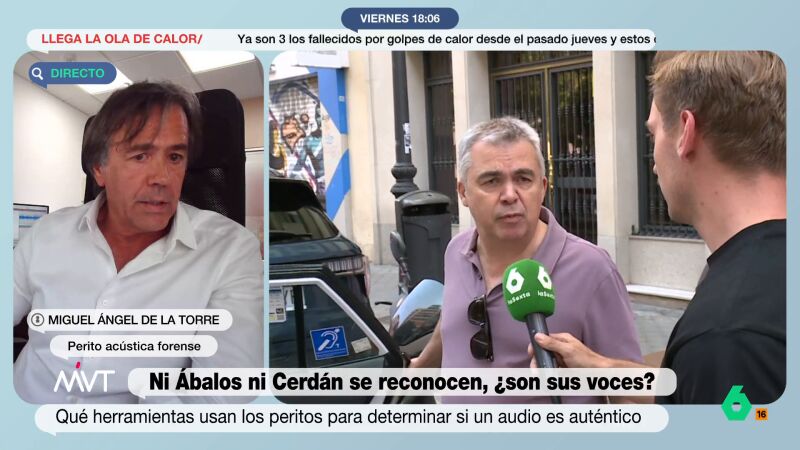 Miguel Ángel de la Torre, perito de acústica forense