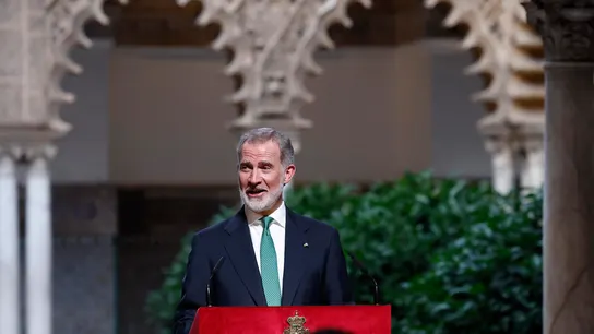El rey Felipe VI durante su discurso en Sevilla El rey Felipe VI durante su discurso en Sevilla