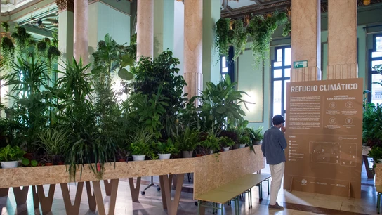 El Círculo de Bellas Artes de Madrid es uno de los refugios climáticos habituados para combatir el calor extremo. Un joven pasea por el refugio climático del Círculo de Bellas Artes de Madrid, con plantos en su interior para combatir el calor.