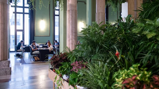 Varias personas disfrutan del Círculo de Bellas Artes como refugio climático en verano. Varias personas disfrutan del Círculo de Bellas Artes como refugio climático en verano.