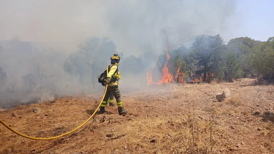 Imagen de archivo de un operario de Infoca luchando contra un incendio forestal en Villablanca. Imagen de archivo de un operario de Infoca luchando contra un incendio forestal en Villablanca.