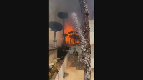 Un incendio obliga a desalojar varias viviendas en la carretera del Molino Viejo en Chiclana (Cádiz) Un incendio obliga a desalojar varias viviendas en la carretera del Molino Viejo en Chiclana (Cádiz)