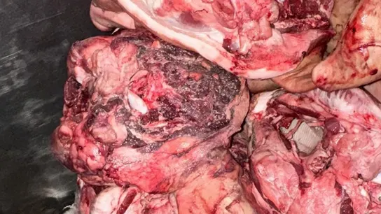 Detenido un empresario que distribuía carne podrida adulterada con productos de alisar paredes y explotaba a sus empleados Detenido un empresario que distribuía carne podrida adulterada con productos de alisar paredes y explotaba a sus empleados