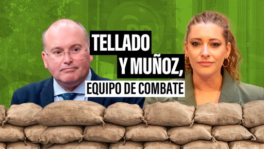 Tellado y Muñoz, equipo de combate: Feijóo impulsa al PP más radical con dos dóberman en su cúpula Tellado y Muñoz, equipo de combate: Feijóo impulsa al PP más radical con dos dóberman en su cúpula