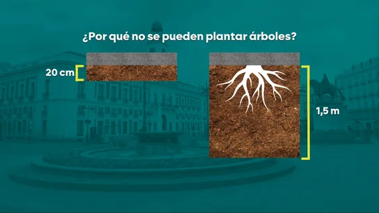 De cruce de caminos en el Plano de Teixeira a asfalto sin sombra: ¿por qué no hay árboles en la Puerta del Sol de Madrid? De cruce de caminos en el Plano de Teixeira a asfalto sin sombra: ¿por qué no hay árboles en la Puerta del Sol de Madrid?