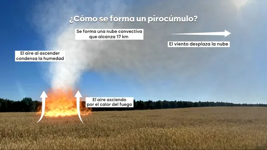 ¿Cómo se forma un pirocúmulo? ¿Cómo se forma un pirocúmulo?