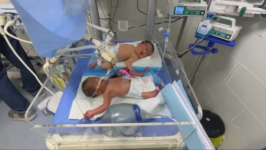 Israel niega la leche a los bebés: 580 niños prematuros están en riesgo de muerte por malnutrición Israel niega la leche a los bebés: 580 niños prematuros están en riesgo de muerte por malnutrición