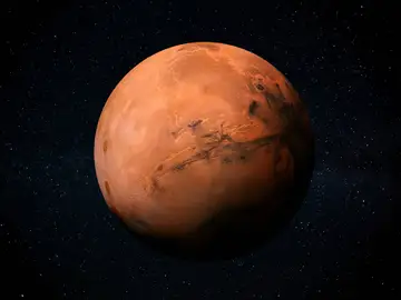 Marte Marte