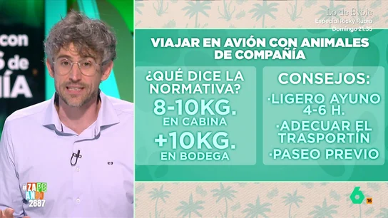 ¿Qué necesito para viajar en avión con mi perro o gato? Víctor Algra explica los requisitos por ley y algún consejo La época de vacaciones de verano ya está aquí y mucha gente aprovecha para viajar con su mascota. Si lo vamos a hacer en avión, Víctor Algra explica qué debemos tener en cuenta de vacunas y para que tengan un vuelo de lo más cómodo.
