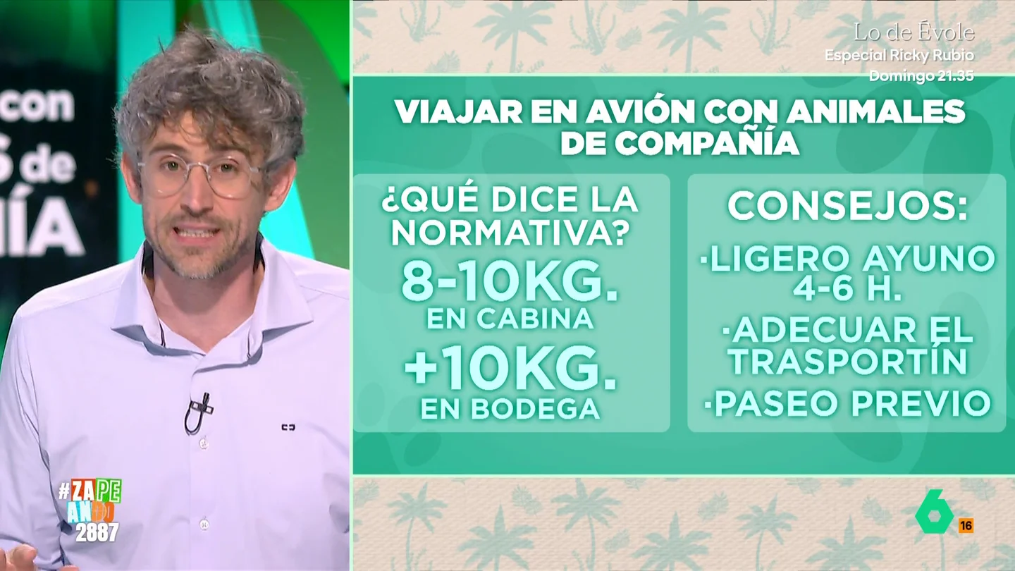 ¿Qué necesito para viajar en avión con mi perro o gato? Víctor Algra explica los requisitos por ley y algún consejo La época de vacaciones de verano ya está aquí y mucha gente aprovecha para viajar con su mascota. Si lo vamos a hacer en avión, Víctor Algra explica qué debemos tener en cuenta de vacunas y para que tengan un vuelo de lo más cómodo.