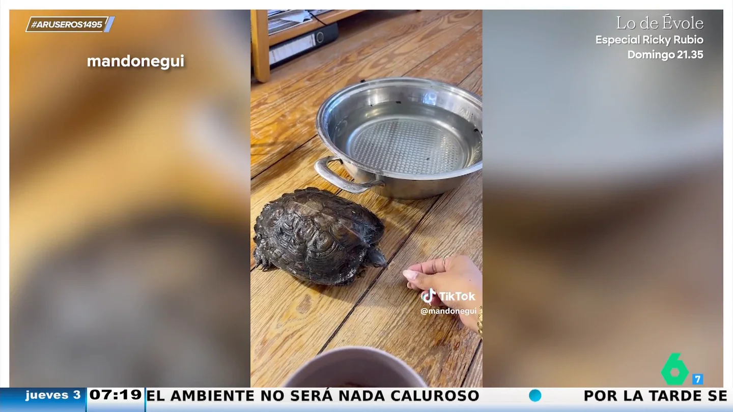 Una dueña le rebaja el alquiler del piso a su inquilina por cuidar de su mascota Una dueña le rebaja el alquiler del piso a su inquilina por cuidar de su mascota