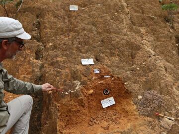 Nuevos hallazgos en Guinea Ecuatorial replantean la evoluci&oacute;n humana en &Aacute;frica 