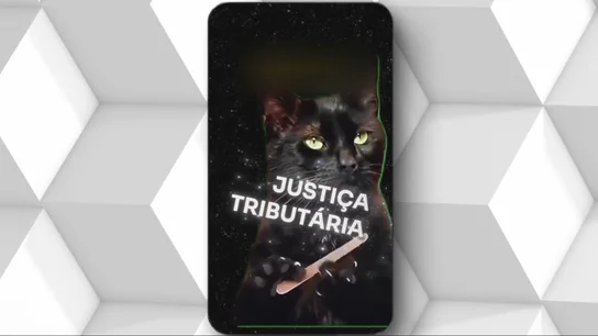 Brasil explica con gatitos. Brasil explica con gatitos.