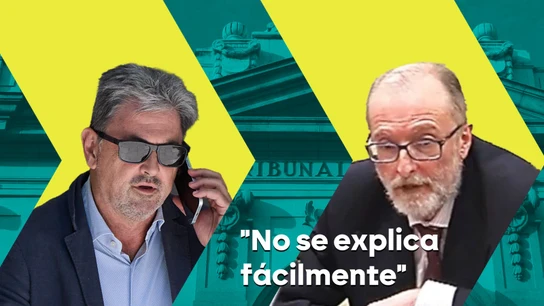 "No se explica fácilmente": la frase del juez que desmonta la versión de Antxon Alonso sobre el contrato con Cerdán por Servinabar "No se explica fácilmente": la frase del juez que desmonta la versión de Antxon Alonso sobre el contrato con Cerdán por Servinabar