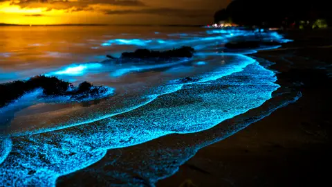 Playa con bioluminiscencia o mar de ardora Playa con bioluminiscencia o mar de ardora
