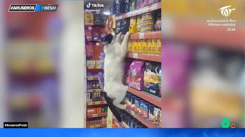 El divertido viral del gato que escala la estantería de un super para 'robar' su producto favorito El divertido viral del gato que escala la estantería de un super para 'robar' su producto favorito