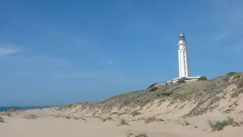 Faro de Trafalgar Faro de Trafalgar
