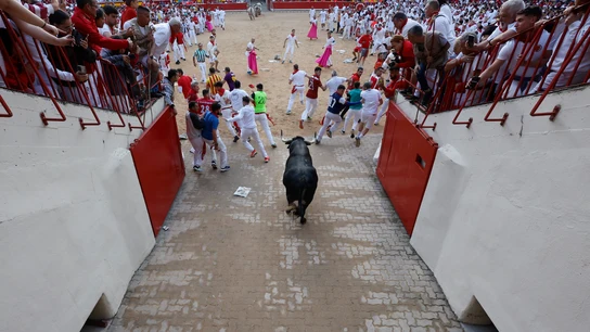 Uno de los toros de Cebada Gago entrando en la plaza de toros en el segundo encierro de San Fermín 2025 Uno de los toros de Cebada Gago entrando en la plaza de toros en el segundo encierro de San Fermín 2025