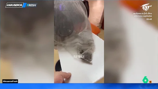 La trampa para acabar con los mosquitos en verano se puede hacer con cosas de casa La trampa para acabar con los mosquitos en verano se puede hacer con cosas de casa