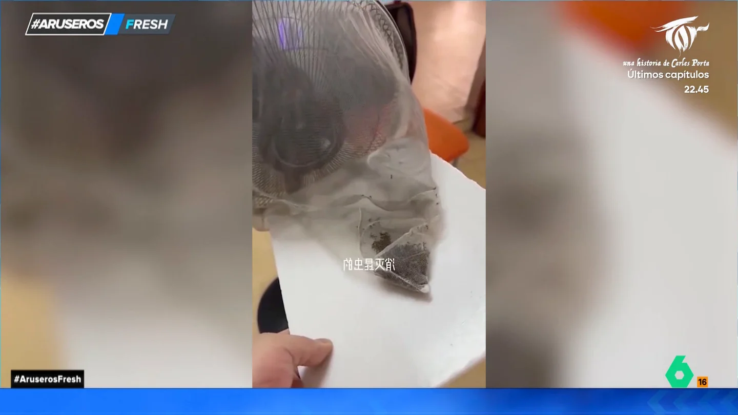 La trampa para acabar con los mosquitos en verano se puede hacer con cosas de casa La trampa para acabar con los mosquitos en verano se puede hacer con cosas de casa